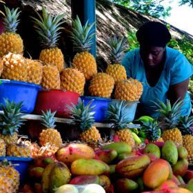 Saint Lucia II